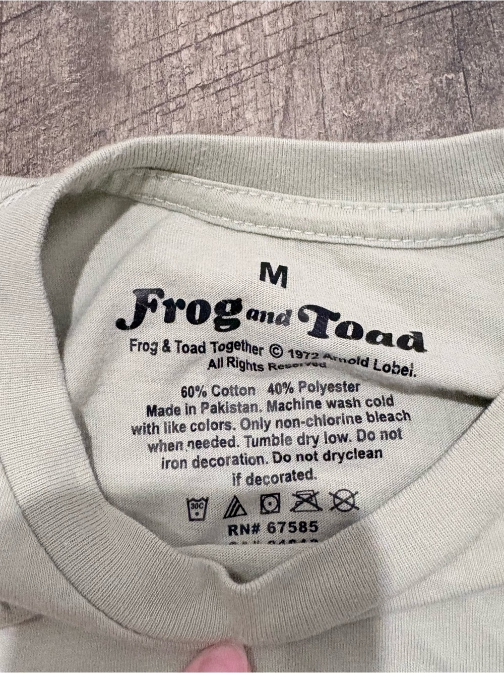 Frog and Toad Graphic Tee - Light Sage Green - Picture 2 of 4